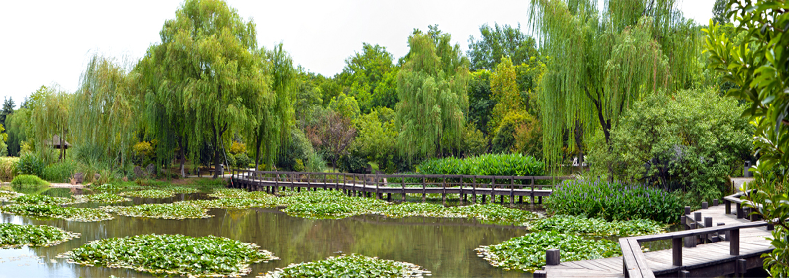 url(http://www.197apc.cn/theme/TP000163/pic/banner4.jpg)